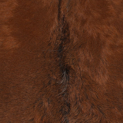 Signature Teak Wood and Goat Hide Home Accent