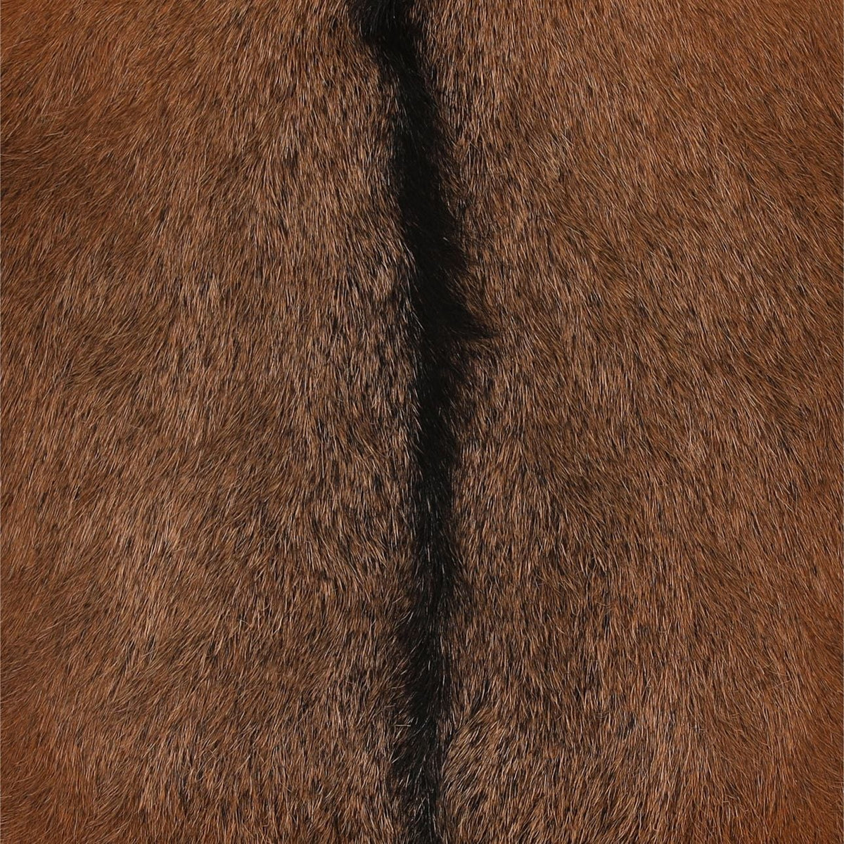 Signature Teak Wood and Goat Hide Counter Stool