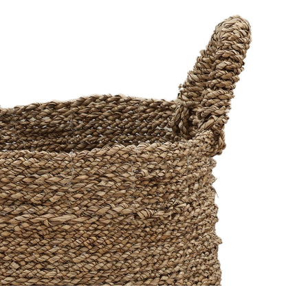 Green and Natural Natural Seagrass of 15.5 in Wide