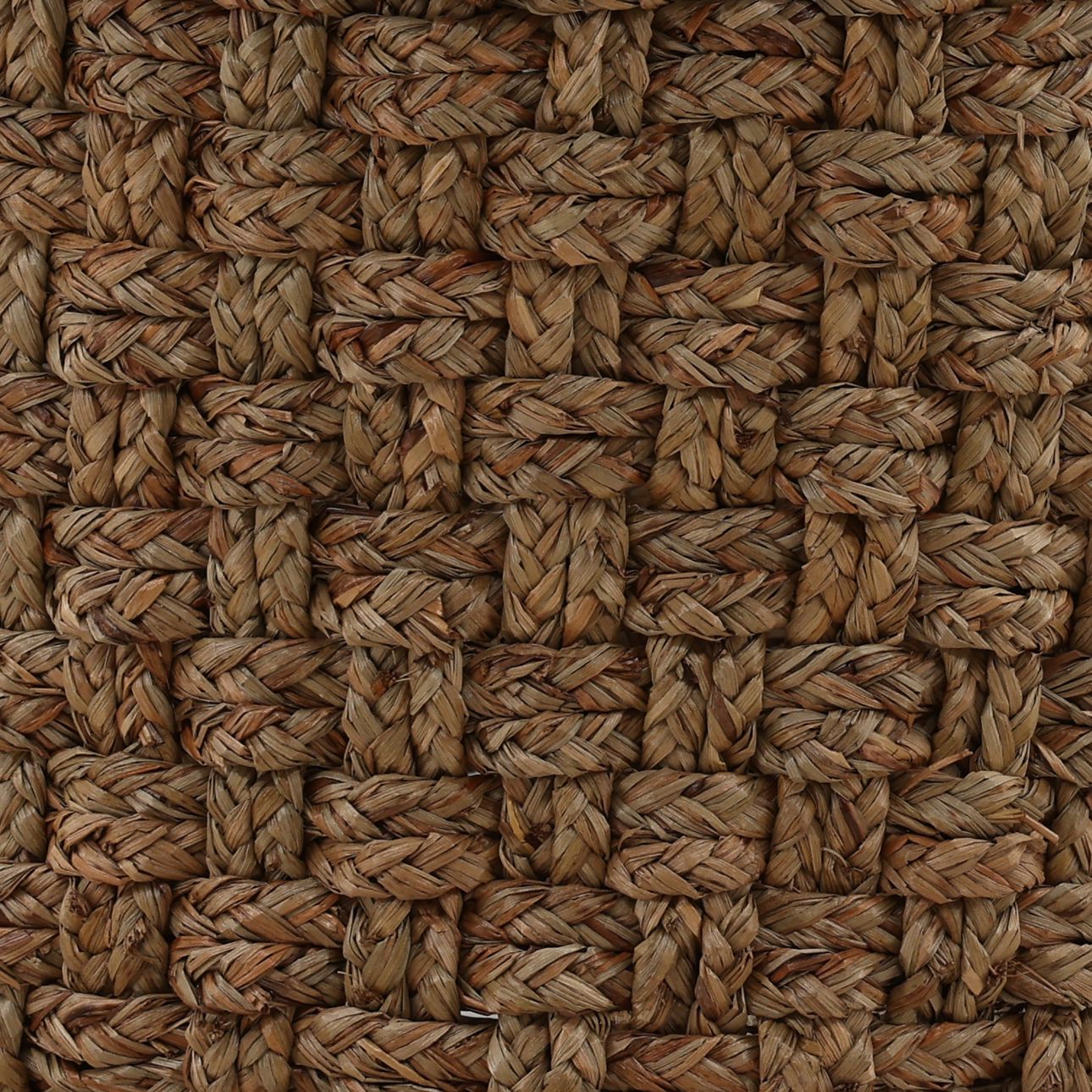 Natural Natural Water Grass of 19.5 in Wide