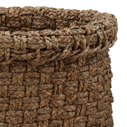 Natural Natural Water Grass of 19.5 in Wide