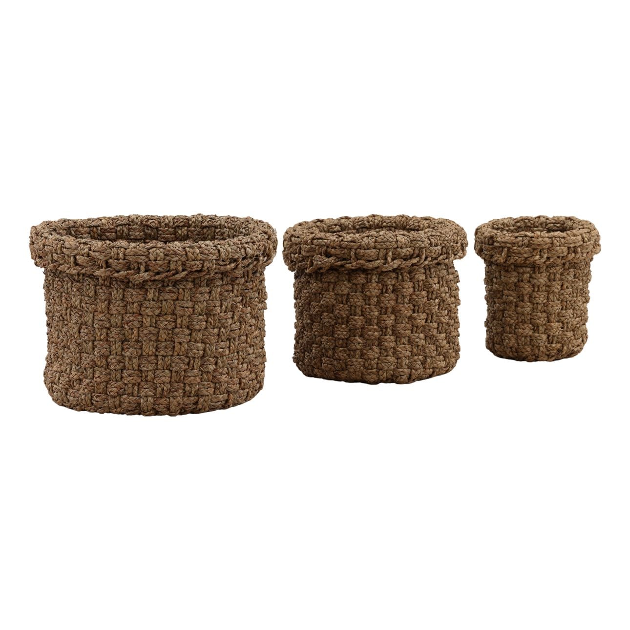 Natural Natural Water Grass of 19.5 in Wide