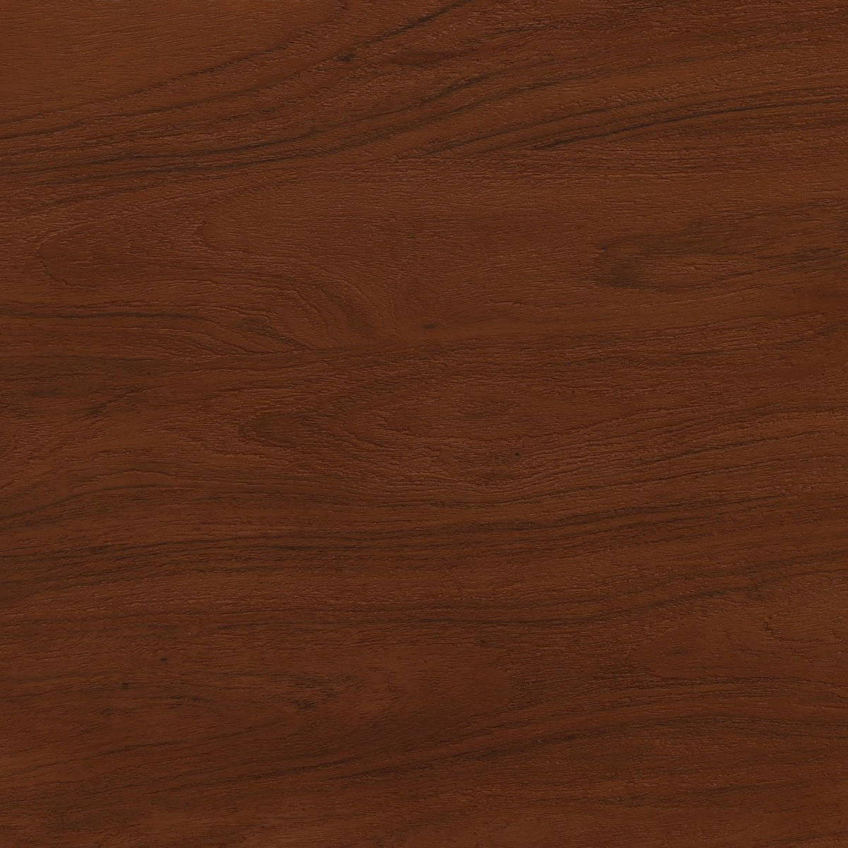 Curated Acacia Wood and Aluminum Cabinet