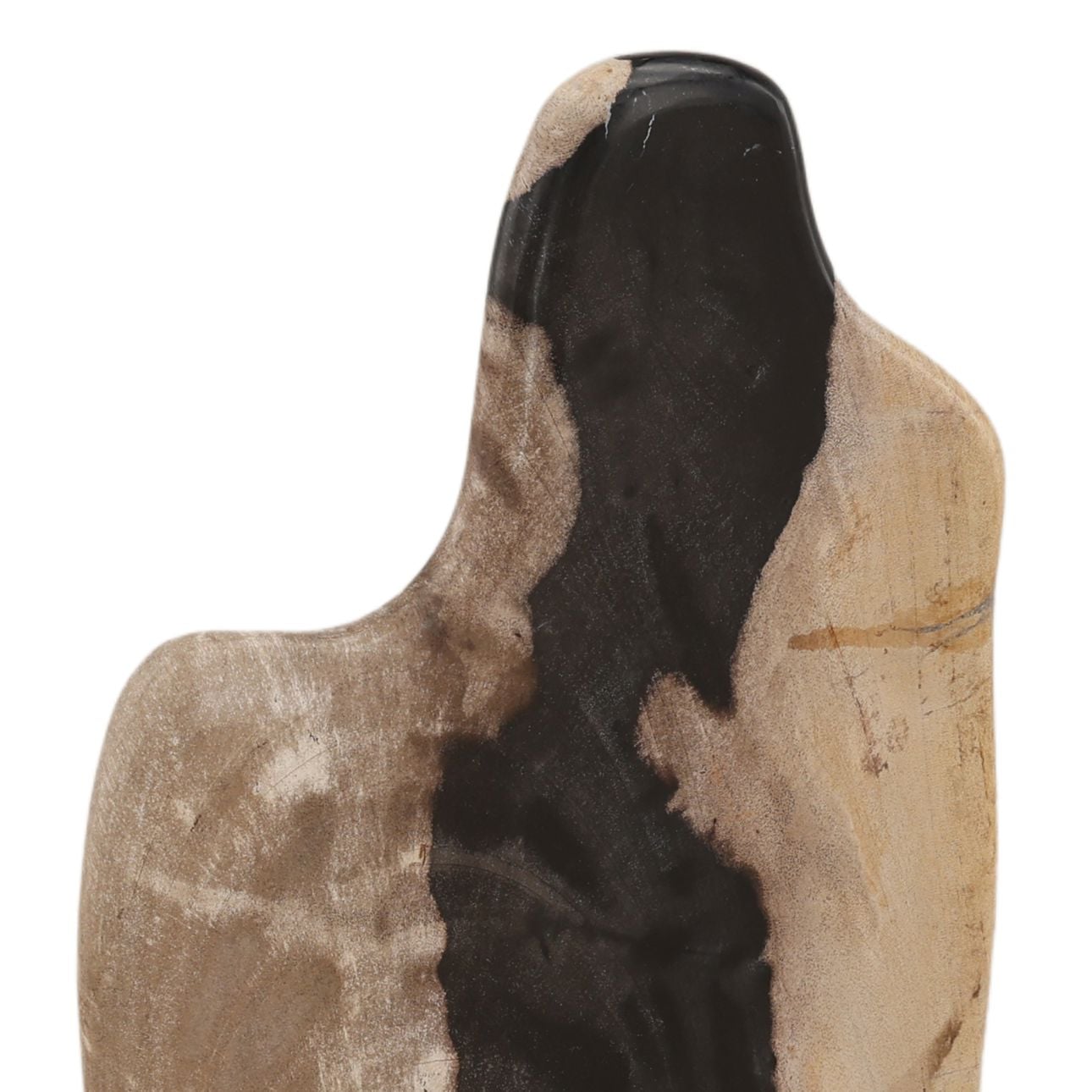 Black and Natural Petrified Wood Sculpture 8 in Wide