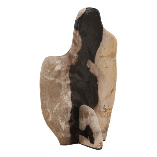 Black and Natural Petrified Wood Sculpture 8 in Wide