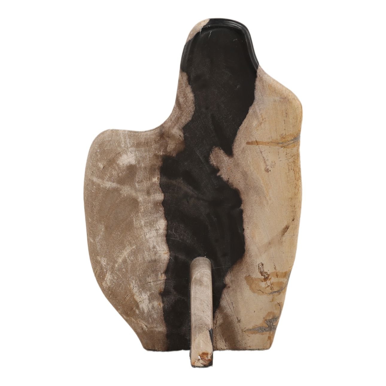 Black and Natural Petrified Wood Sculpture 8 in Wide