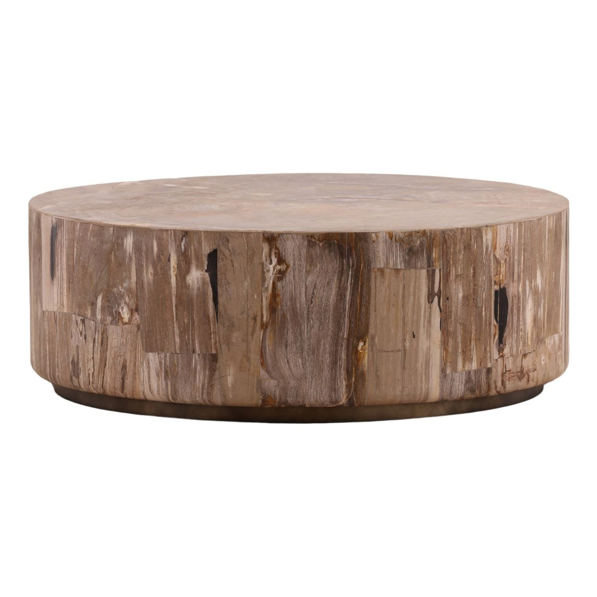 Heritage Petrified Wood and Metal Coffee Table