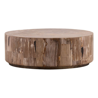 Heritage Petrified Wood and Metal Coffee Table