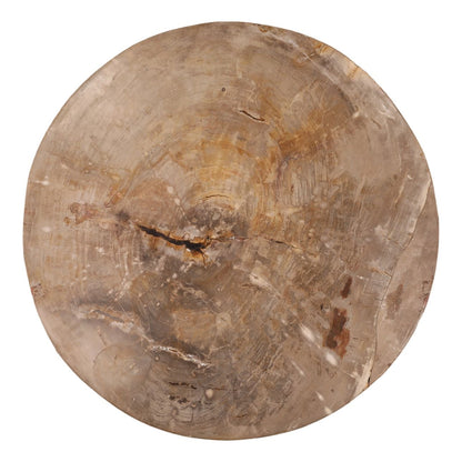 Heritage Petrified Wood and Metal Coffee Table